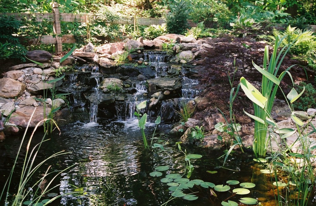 Photo Gallery - Aquascapes, Hardscapes and More