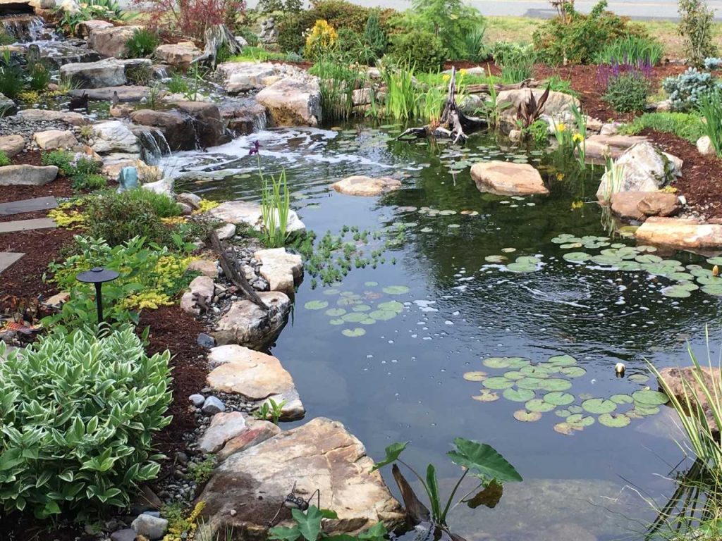 Photo Gallery - Aquascapes, Hardscapes and More